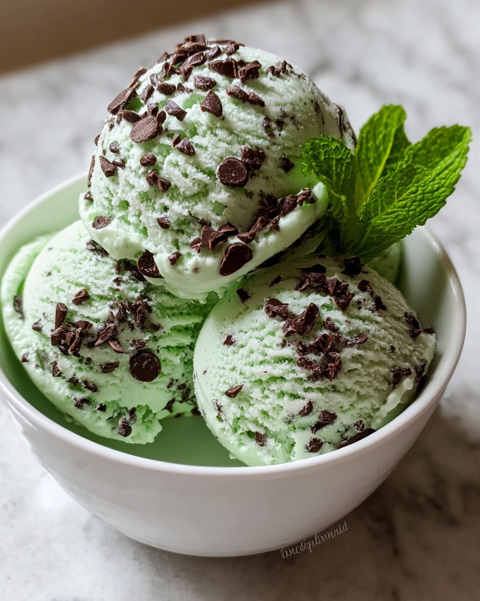 Mint Chocolate Chip Ice Cream Recipe - Recipe Image
