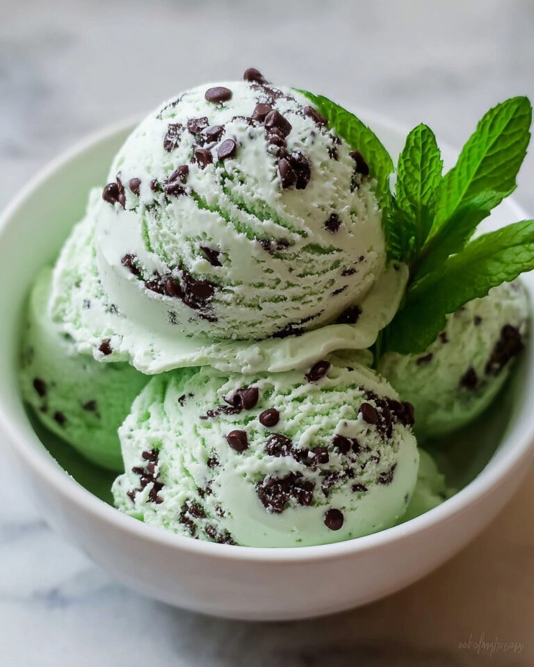 Mint Chocolate Chip Ice Cream Recipe